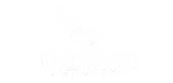 eagle-eye-network-bl-removebg-preview